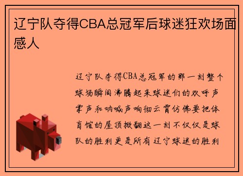 辽宁队夺得CBA总冠军后球迷狂欢场面感人